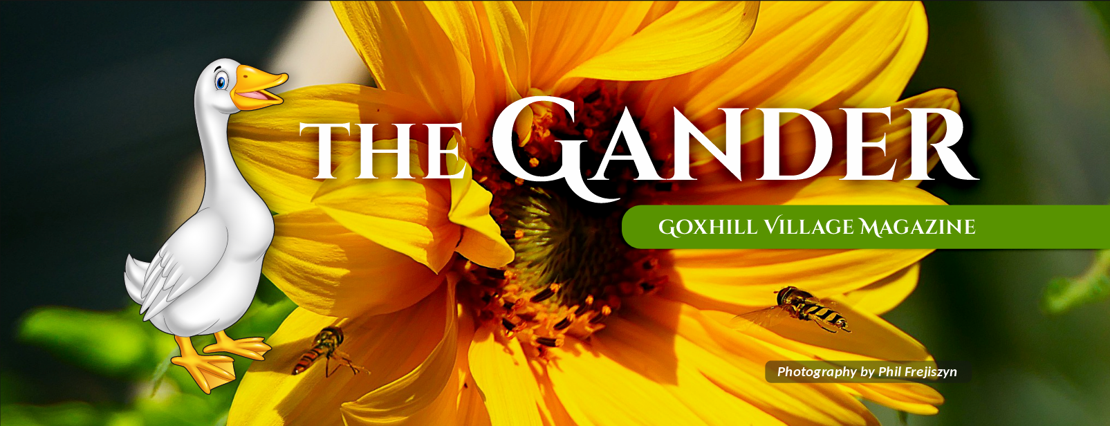 Goxhill Gander Banner