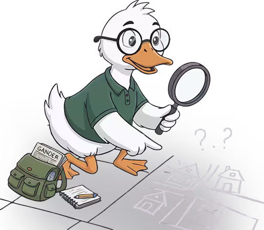 Goose with an old press cartoon