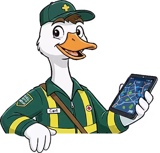 Cartoon goose medic
